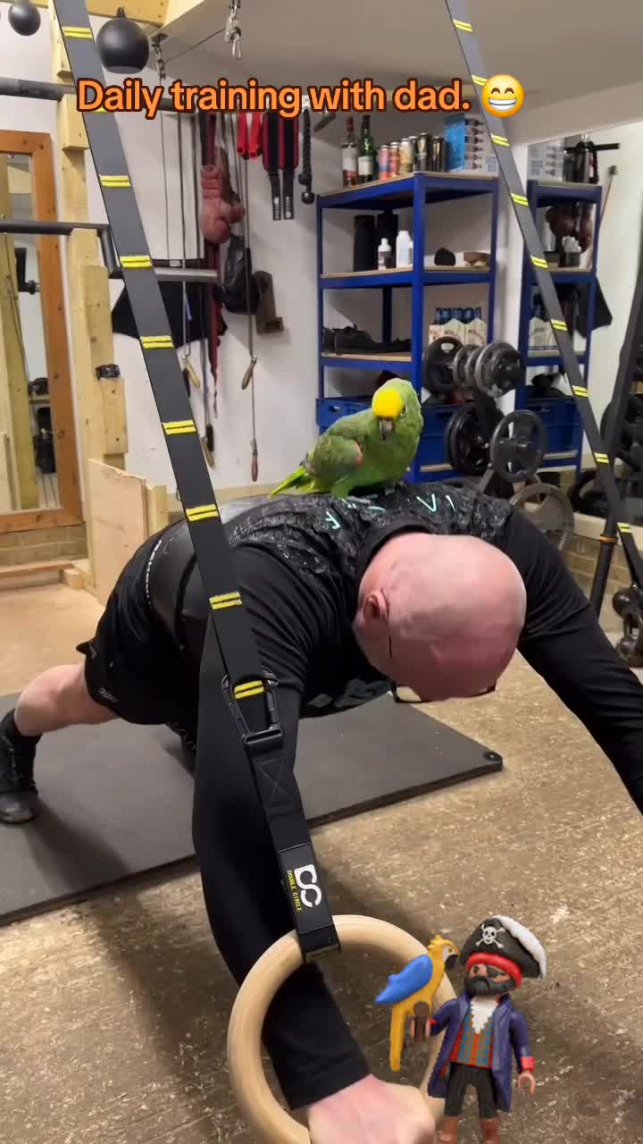 @🤣Vid&eacute;os Dr&ocirc;les.Zzz