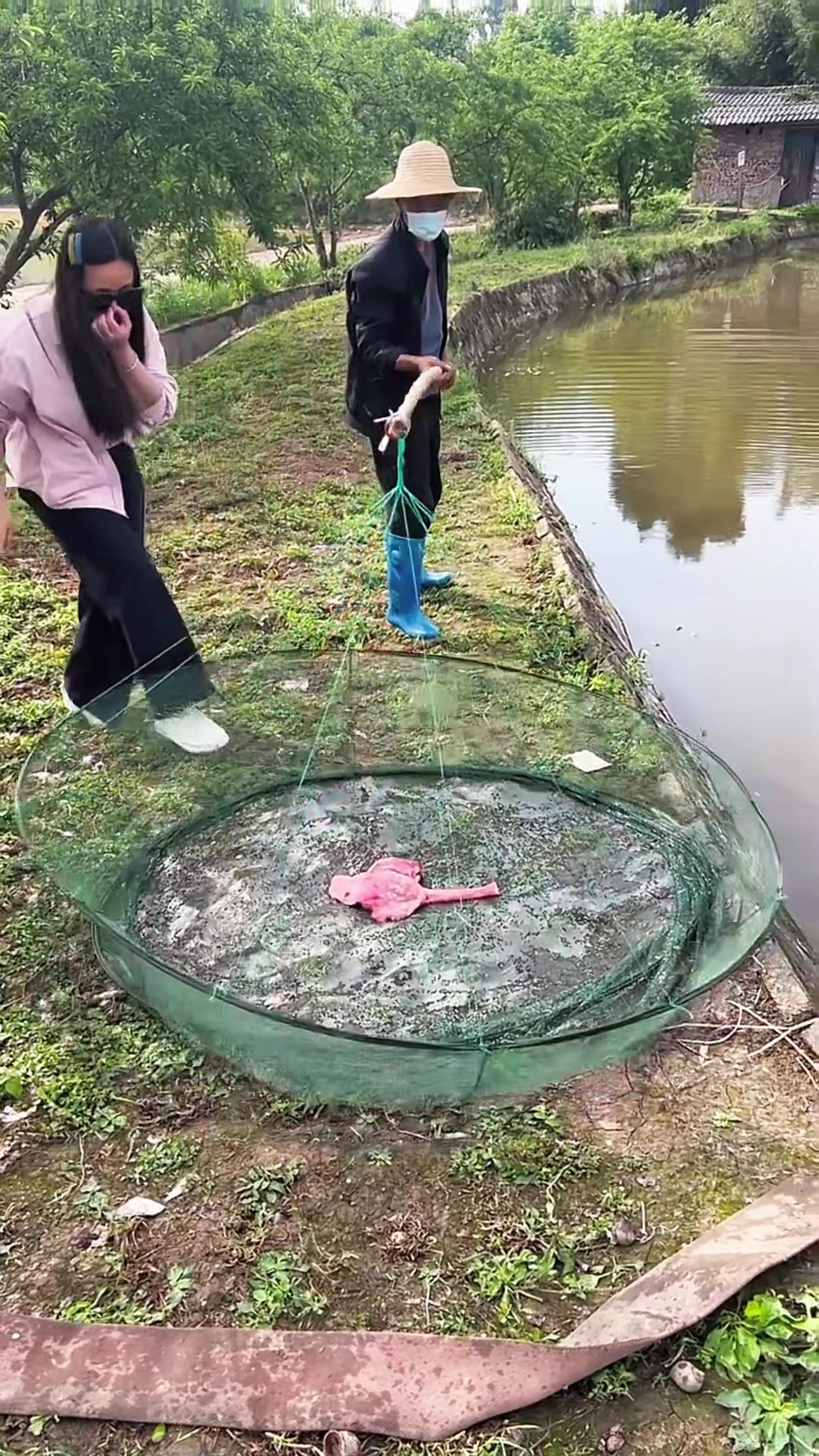 @Fishing King