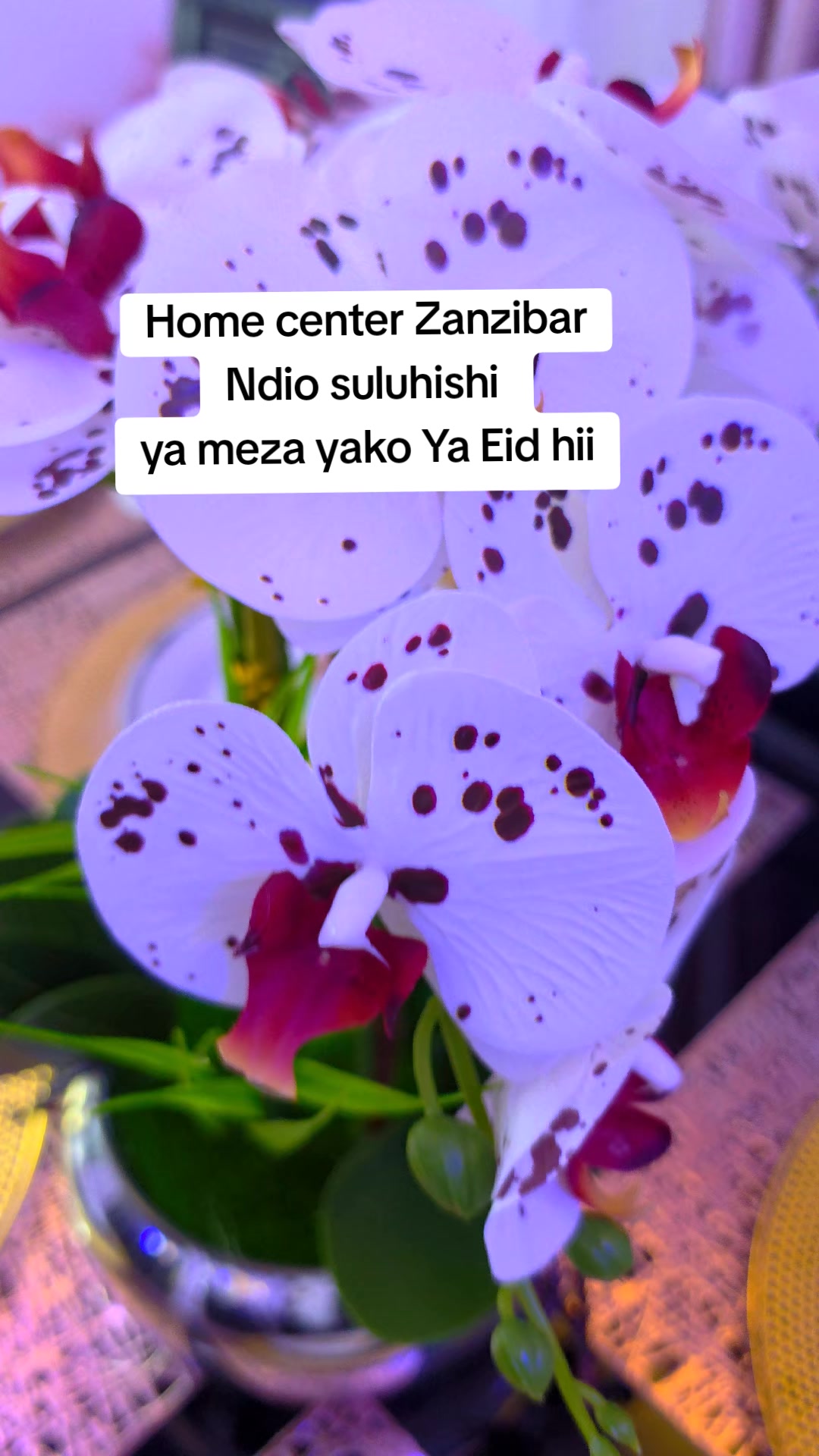 @Home Center Znz