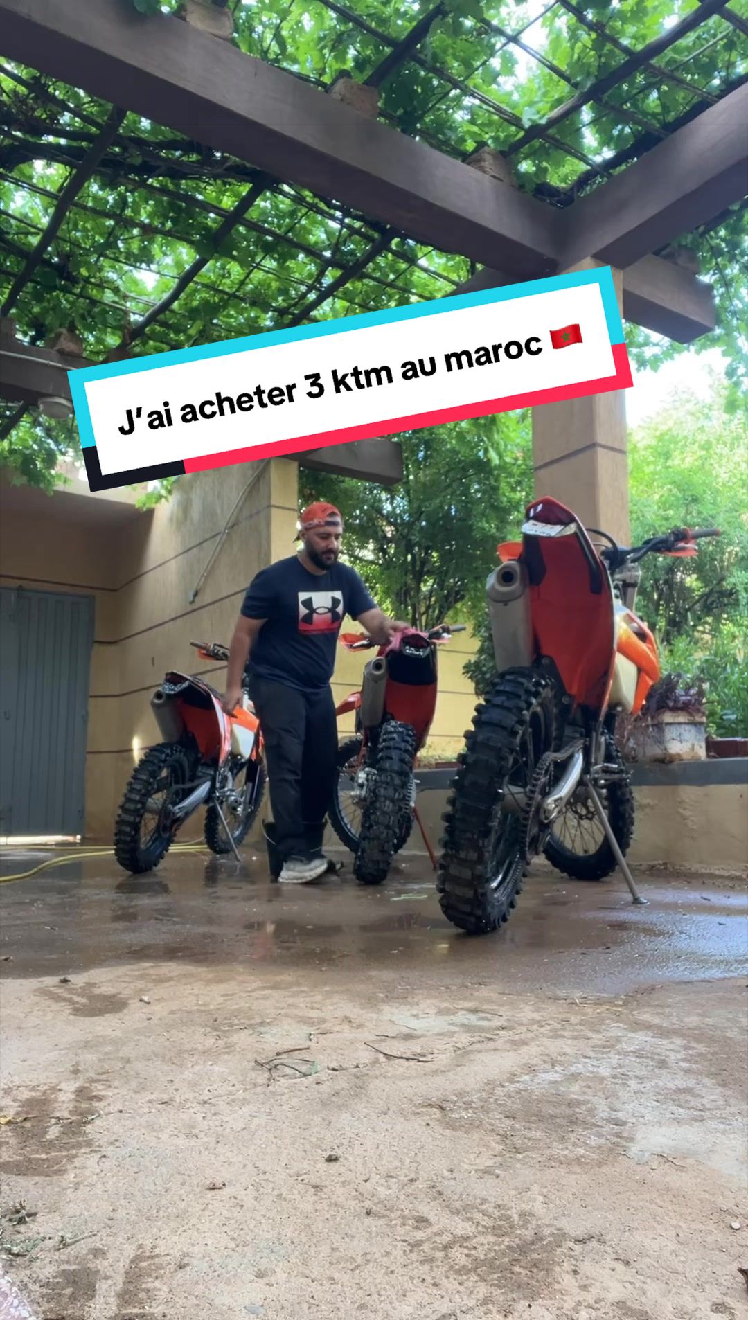 @LE CAMÉLÉON