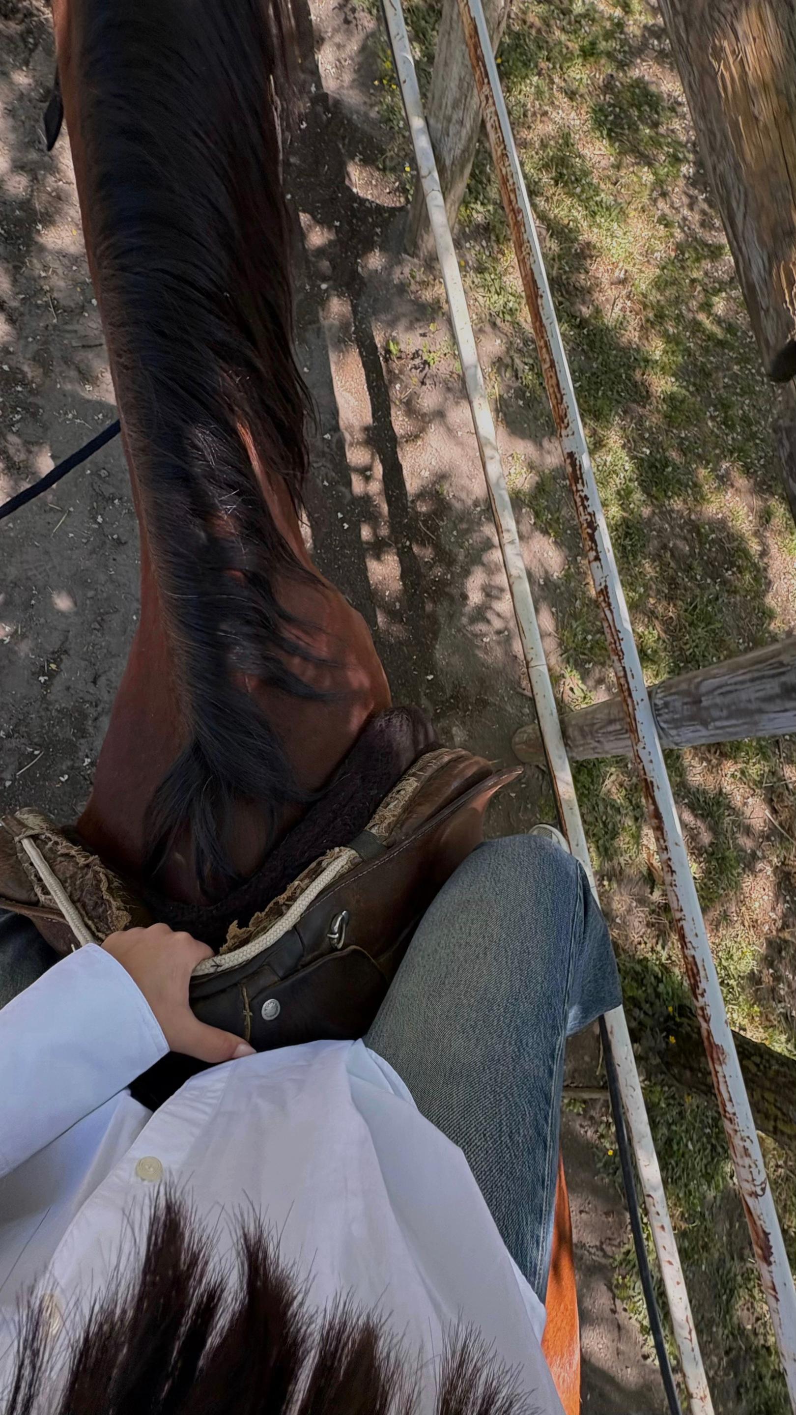 @martina
