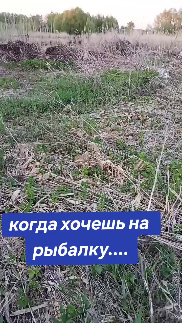 @"Пятёрочка дружная семья"
