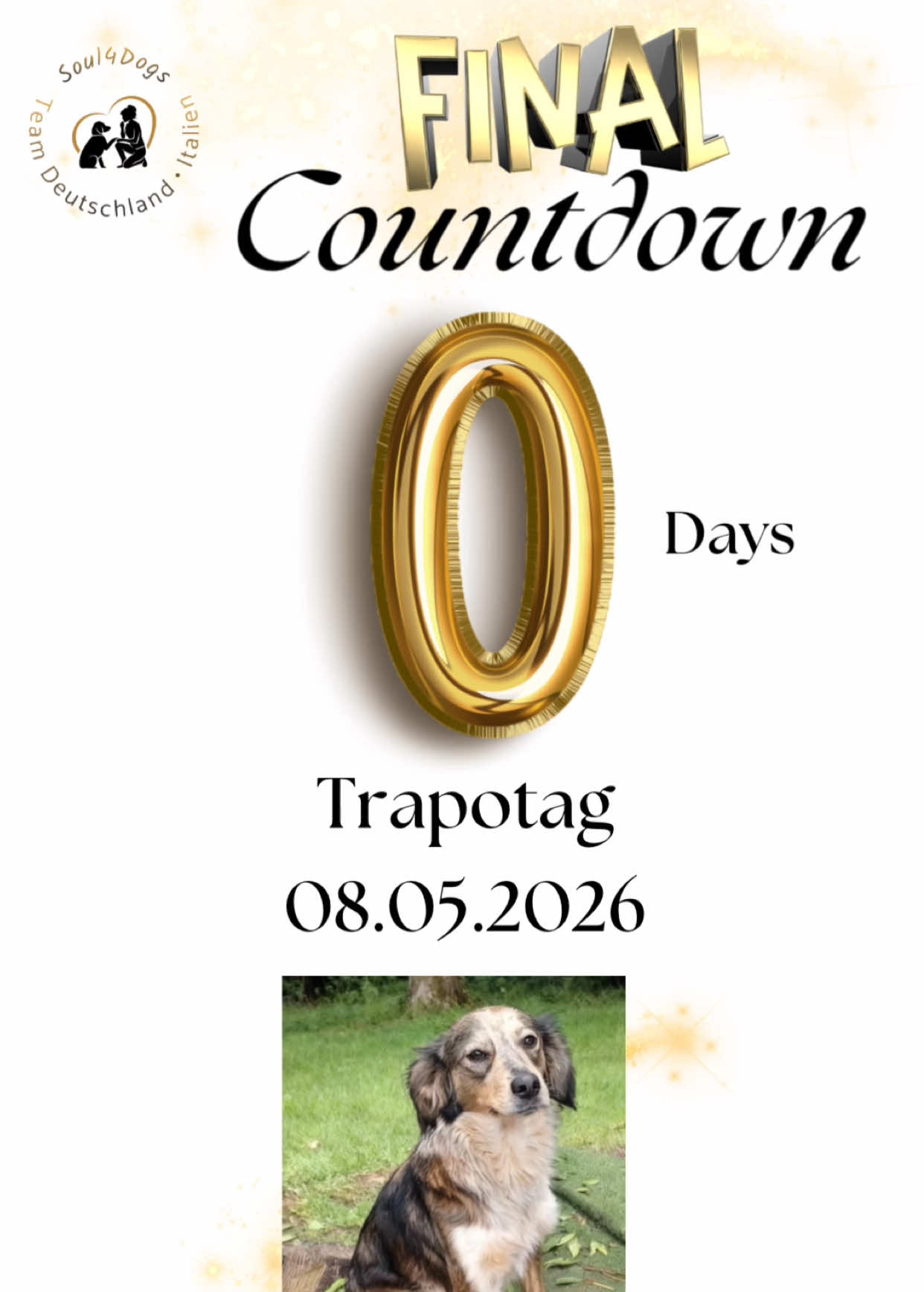 @Vermittlungshilfe.Soul4Dogs