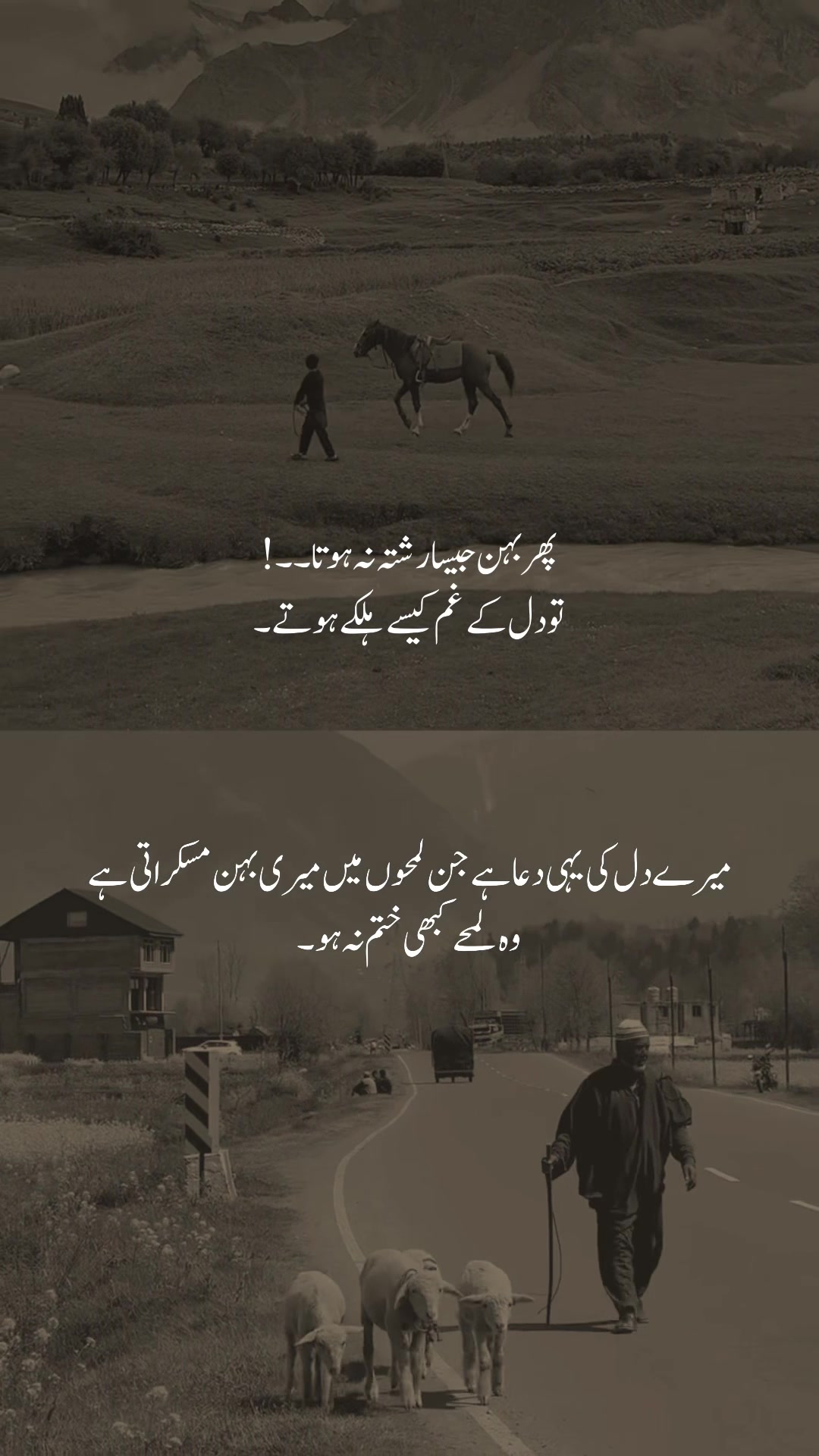 @𝐒𝐡𝐞𝐫𝐚𝐳🚩