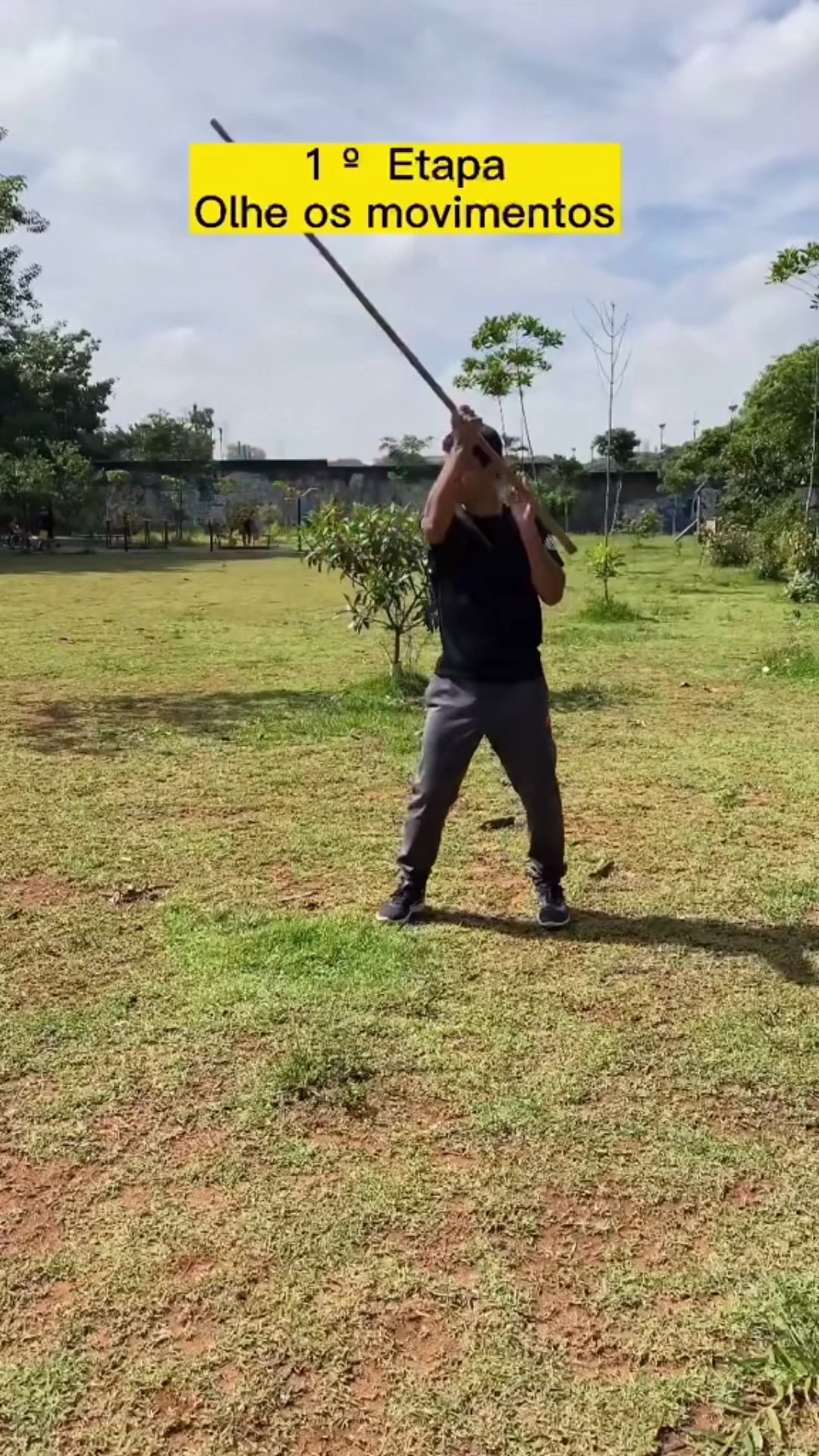 @Luiz Carlos - Wushuluiz