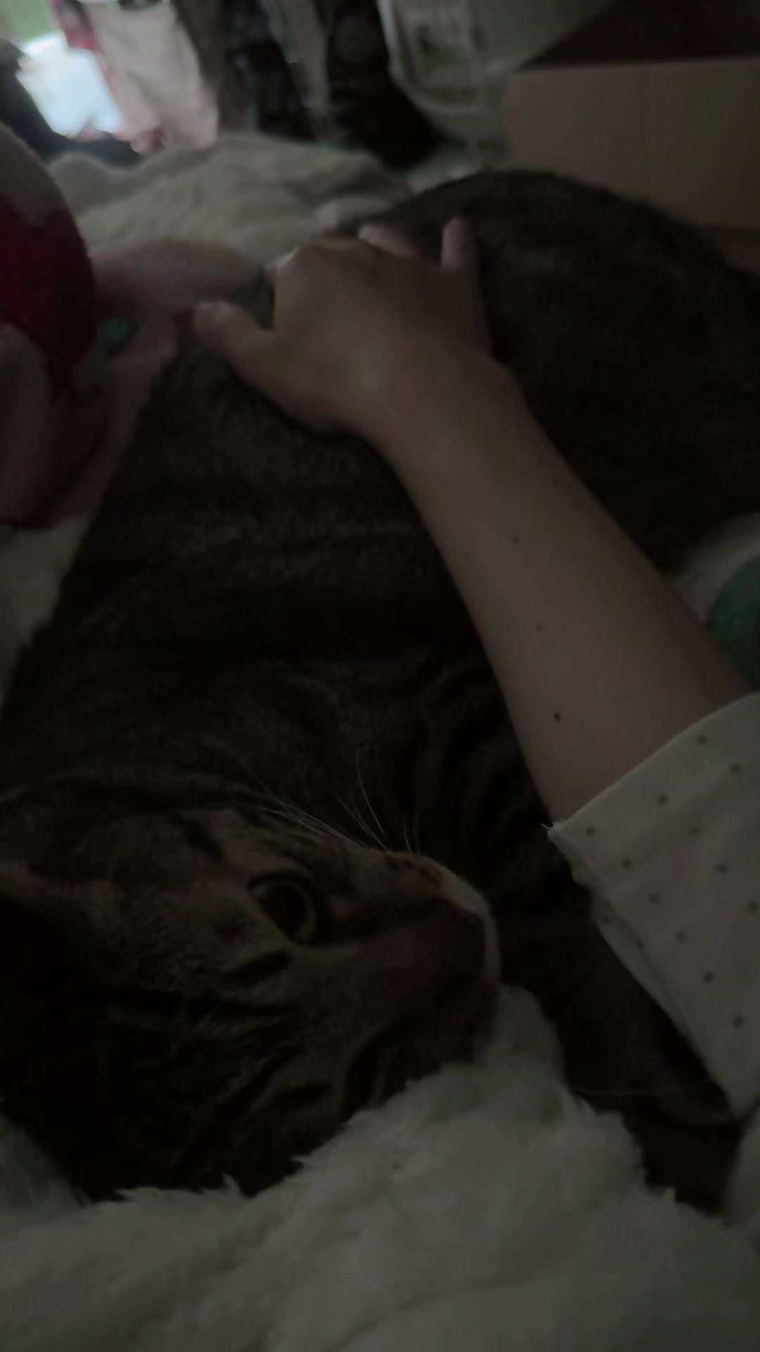 @🫧♡🐱유미(ユミ)🧛&zwj;♀️☆🌿