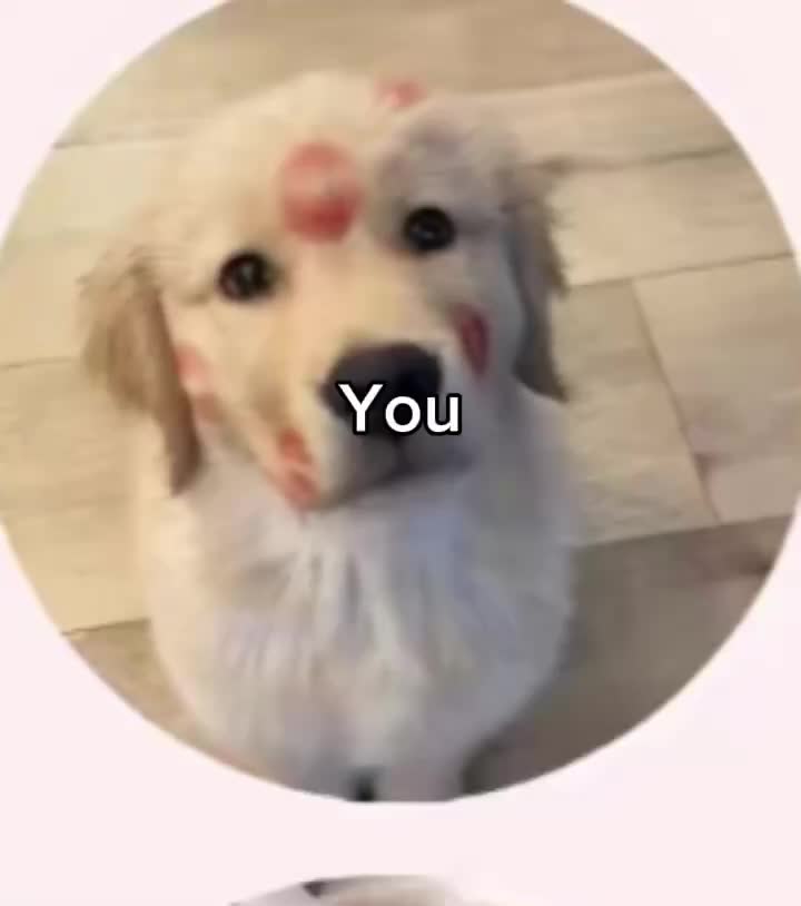 @Arianna