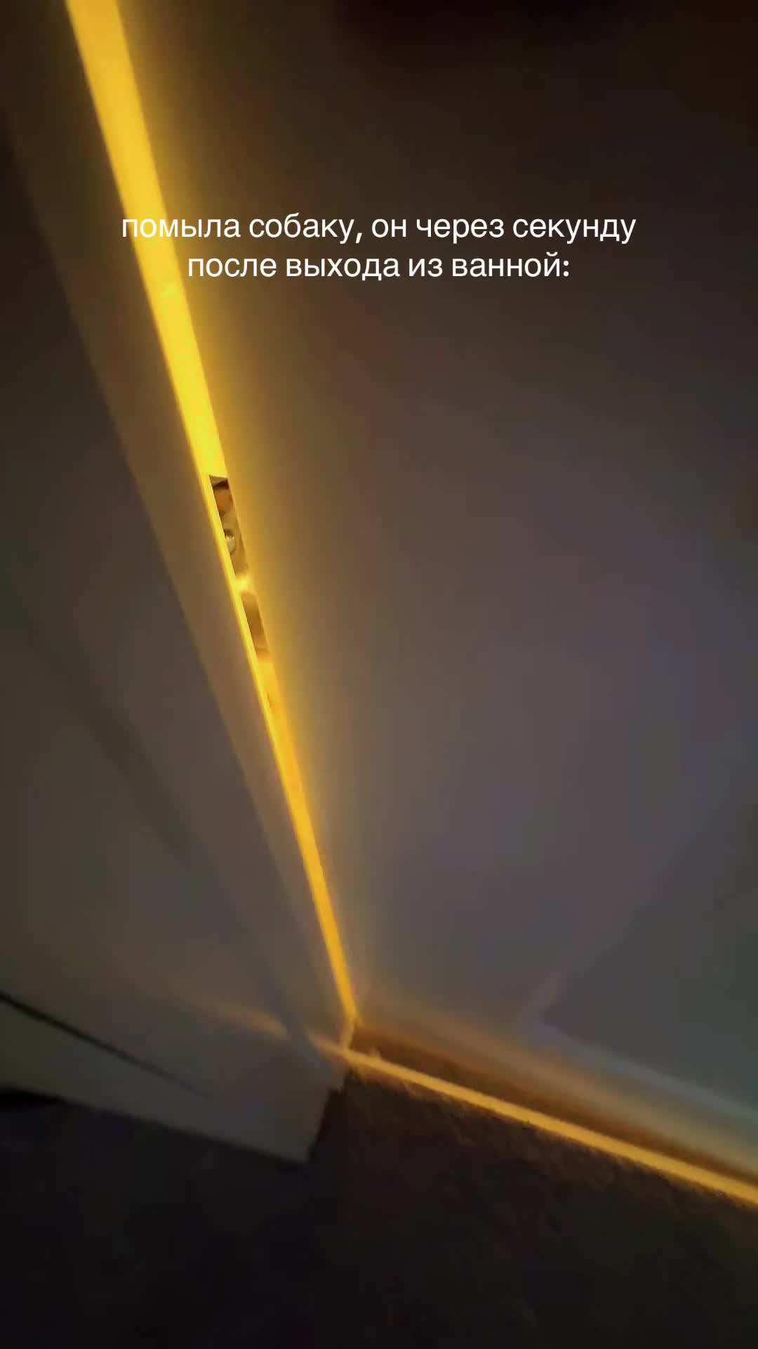 @тгк: сашк