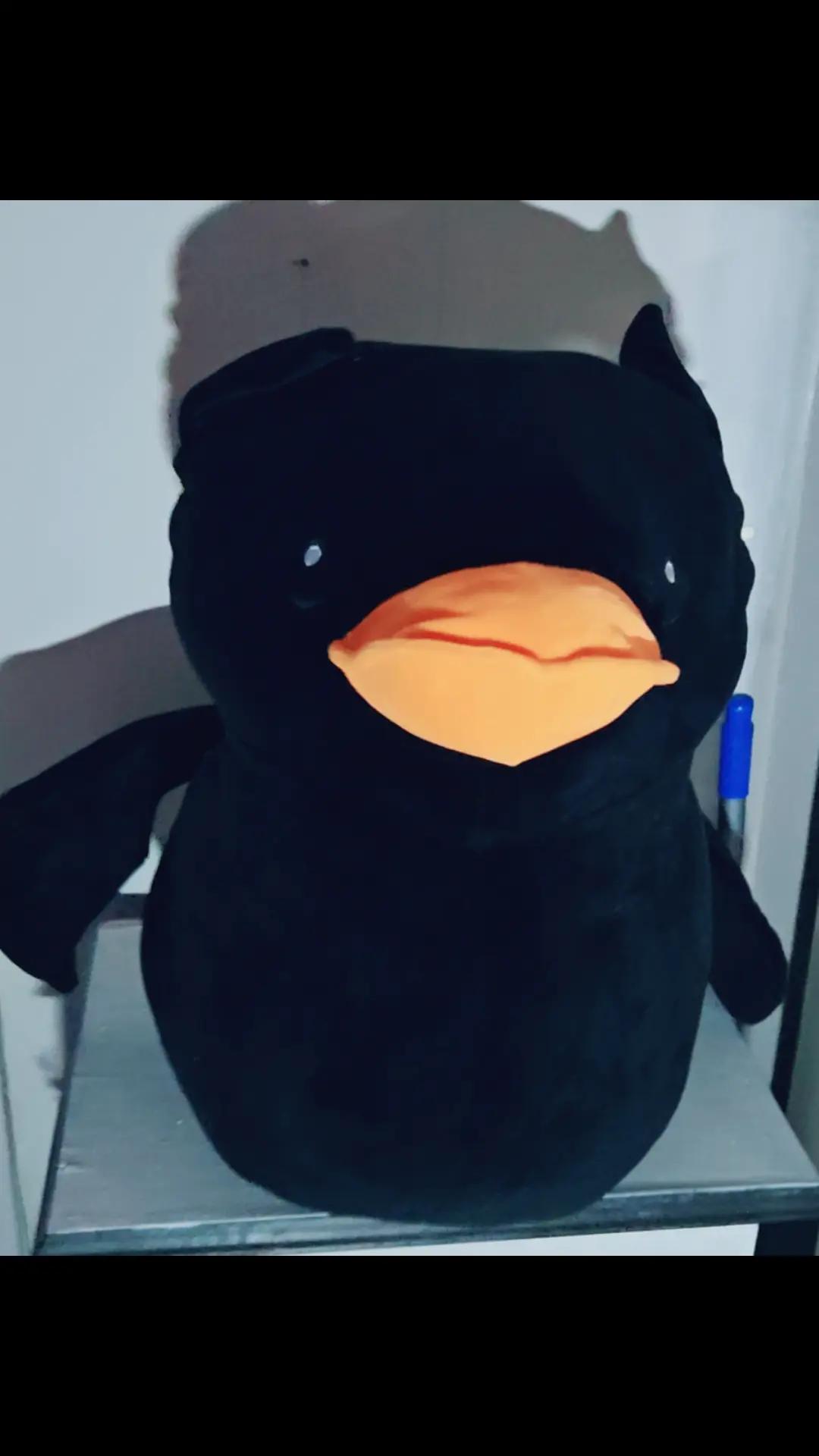 @Furiou$ George