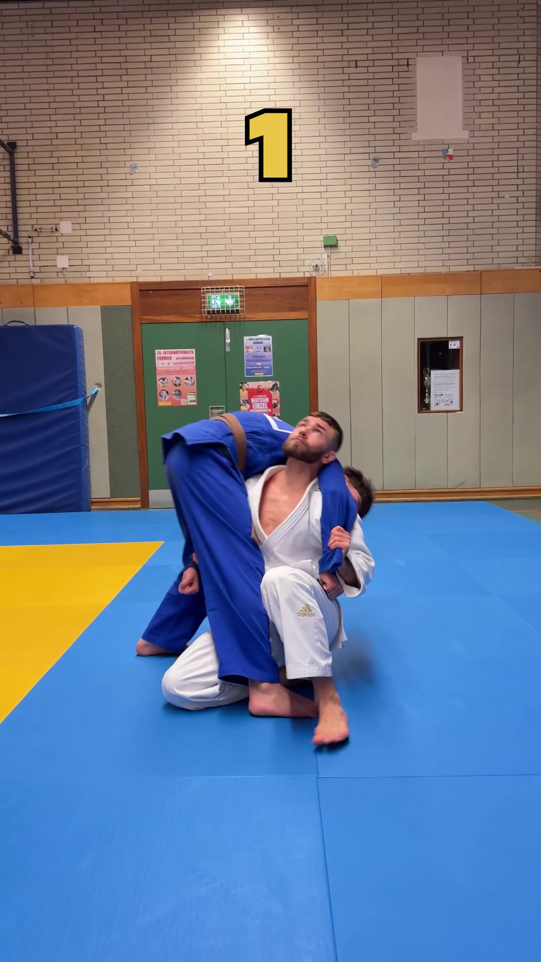 @Cyber-Judoka
