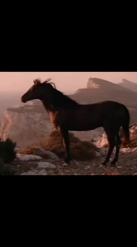 @مغول