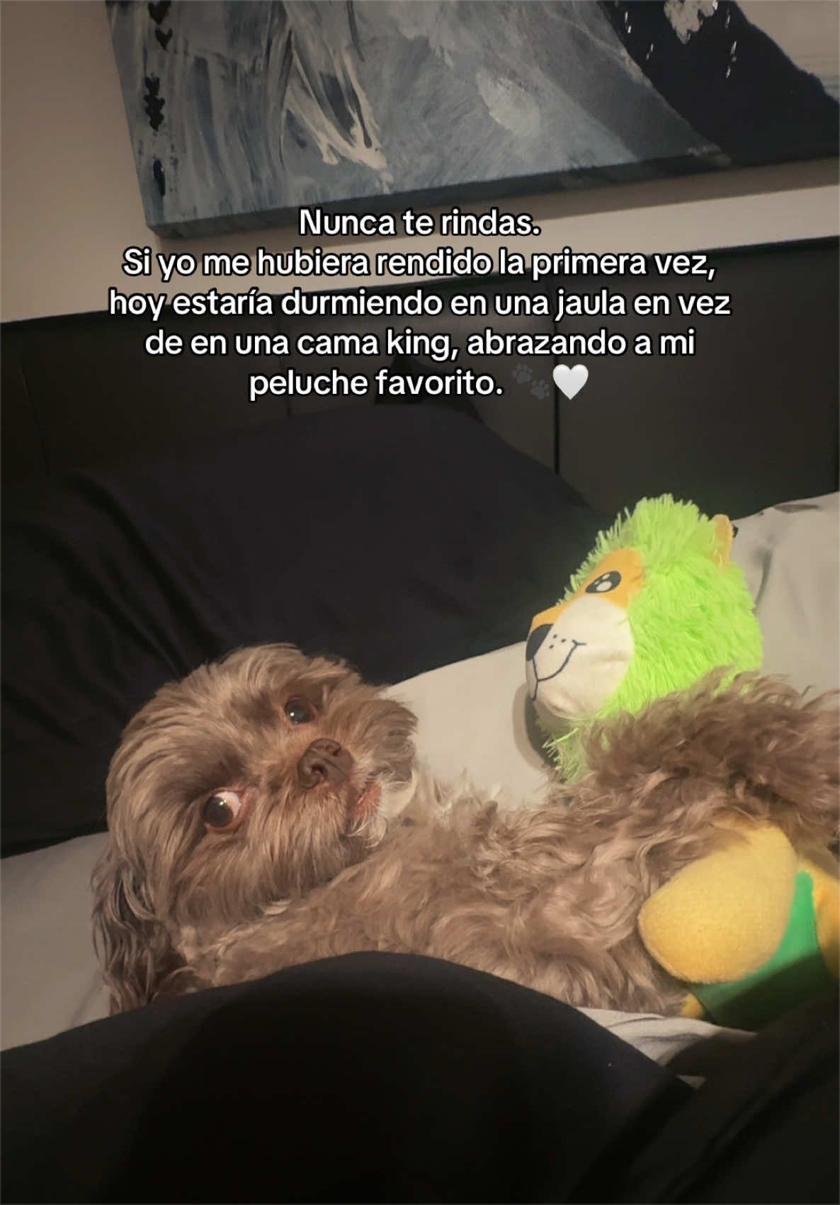 @Marysela Salinas