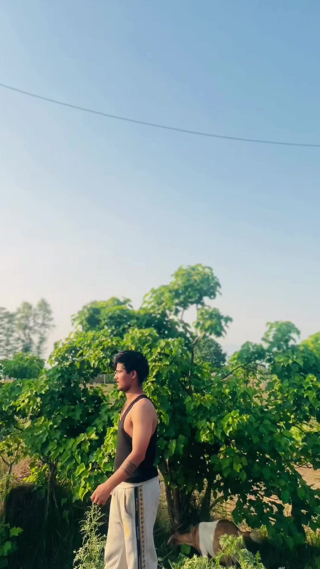 @GIRISARKAR 🕸️👽