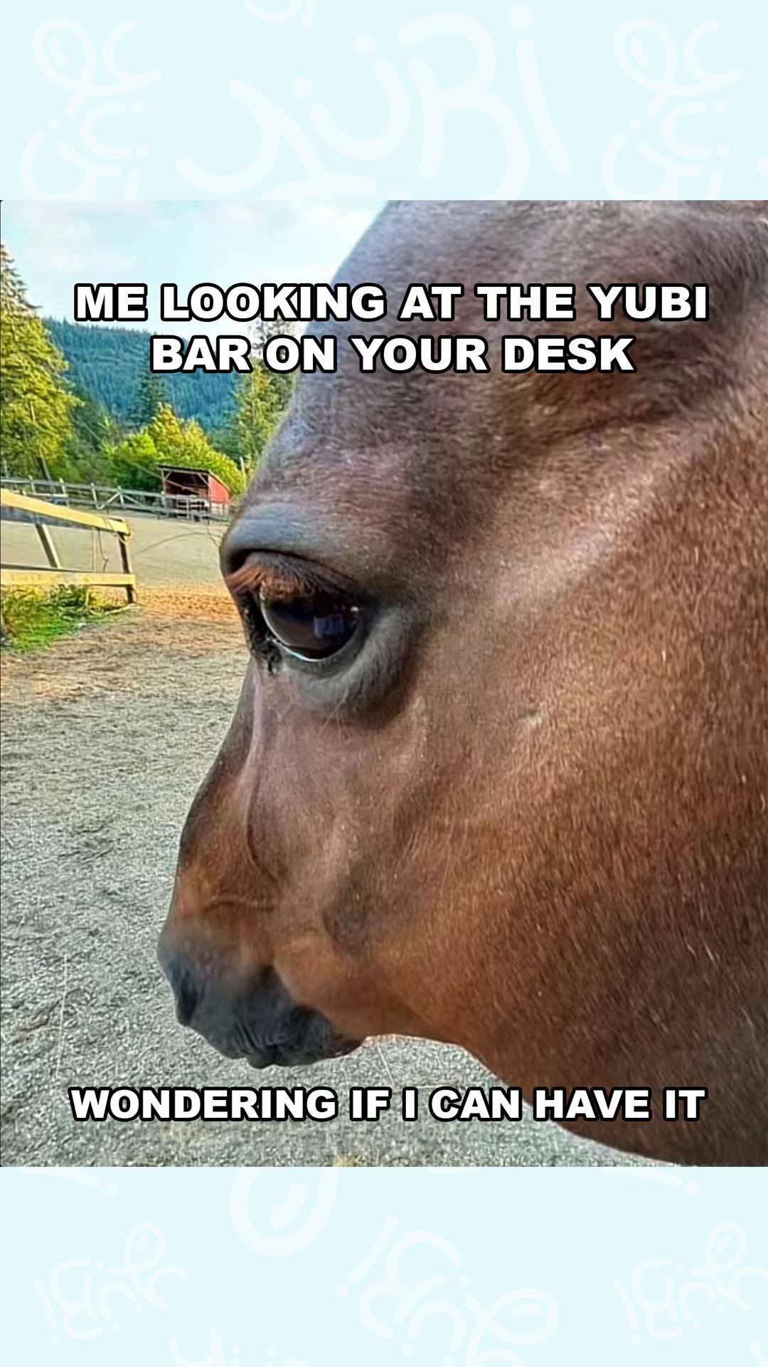 @YuBi Bars