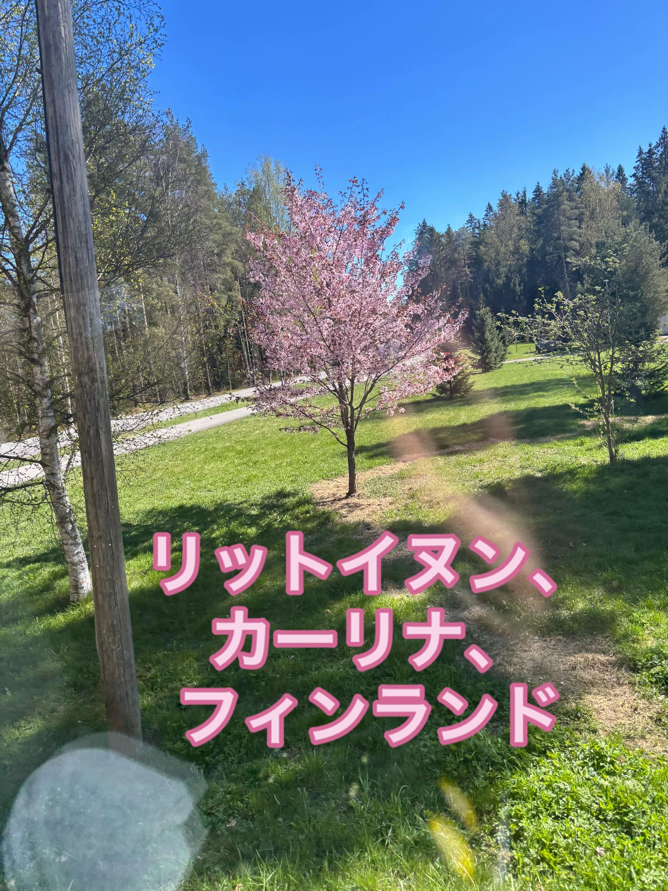 @𝓗𝓪𝔂𝓭𝓮𝓮