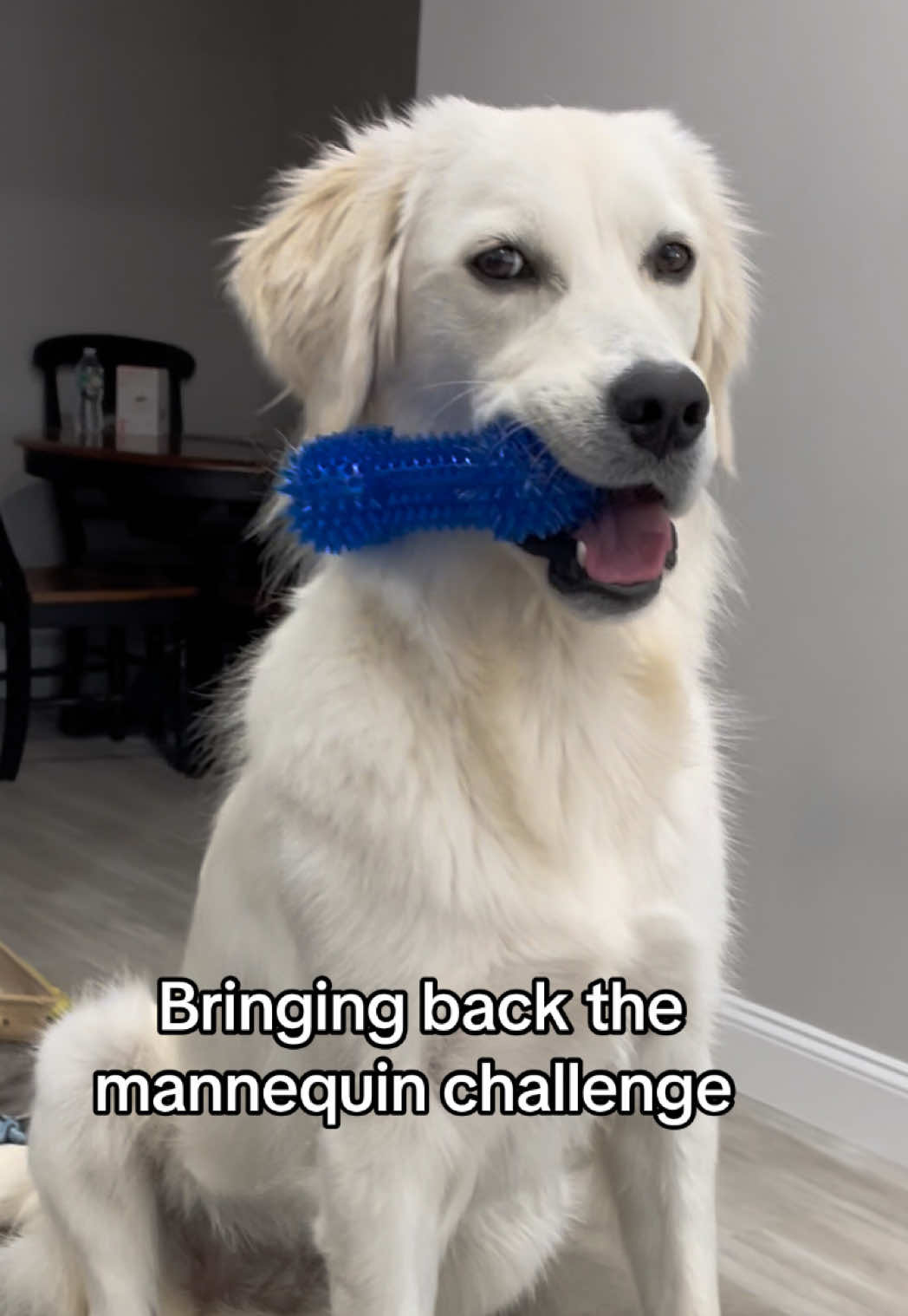 @Luna & Mom