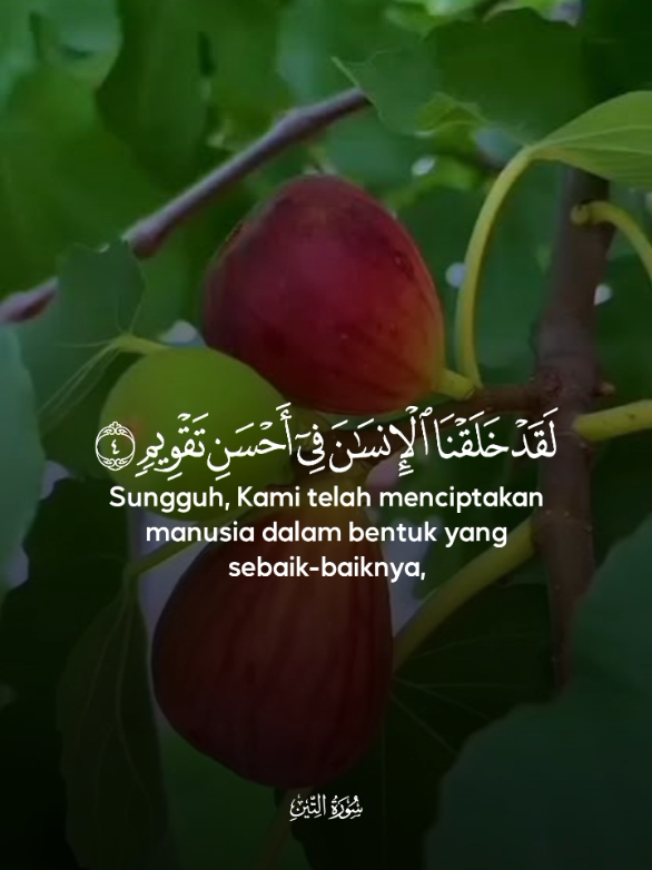 @Scorpio Berkah