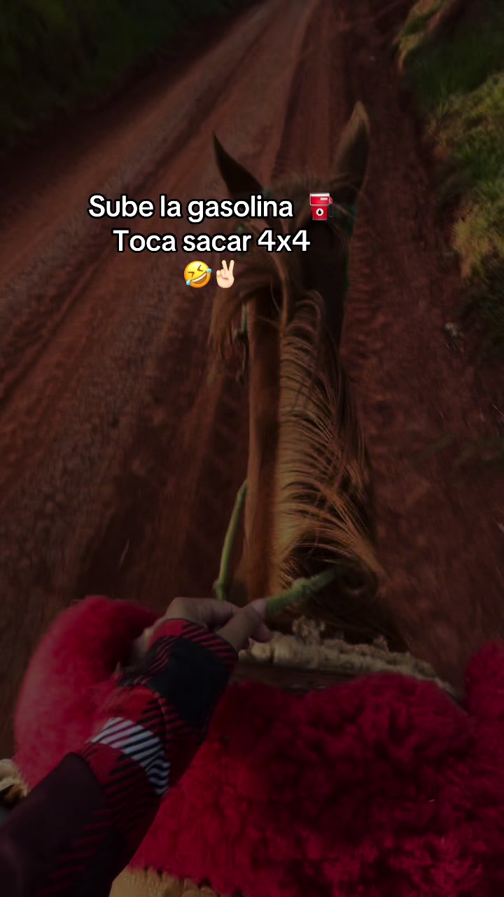 @EllyMar🇵🇾🪶🇧🇷🪽