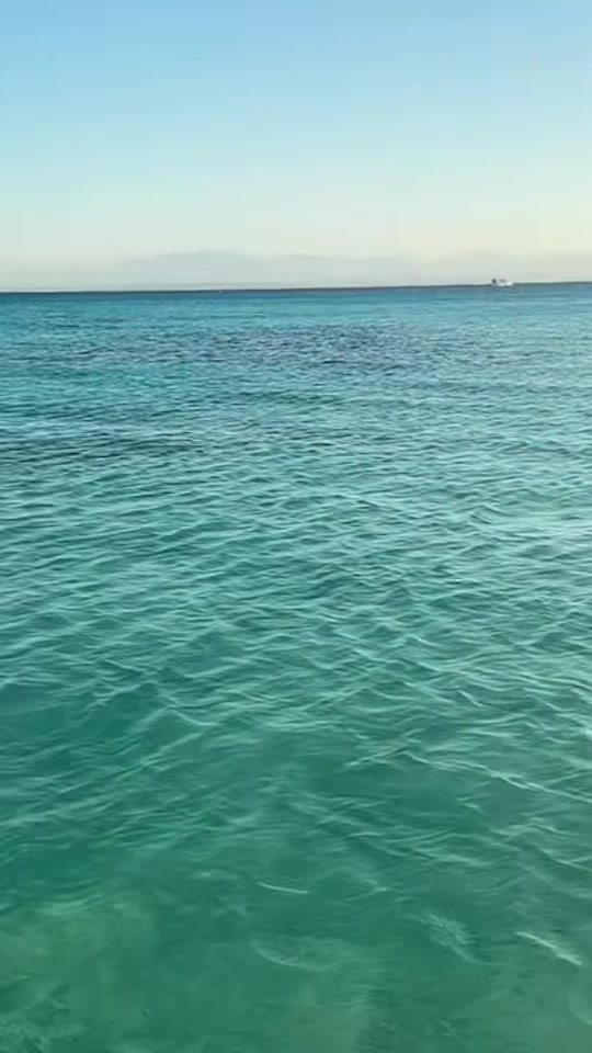 @esh06130