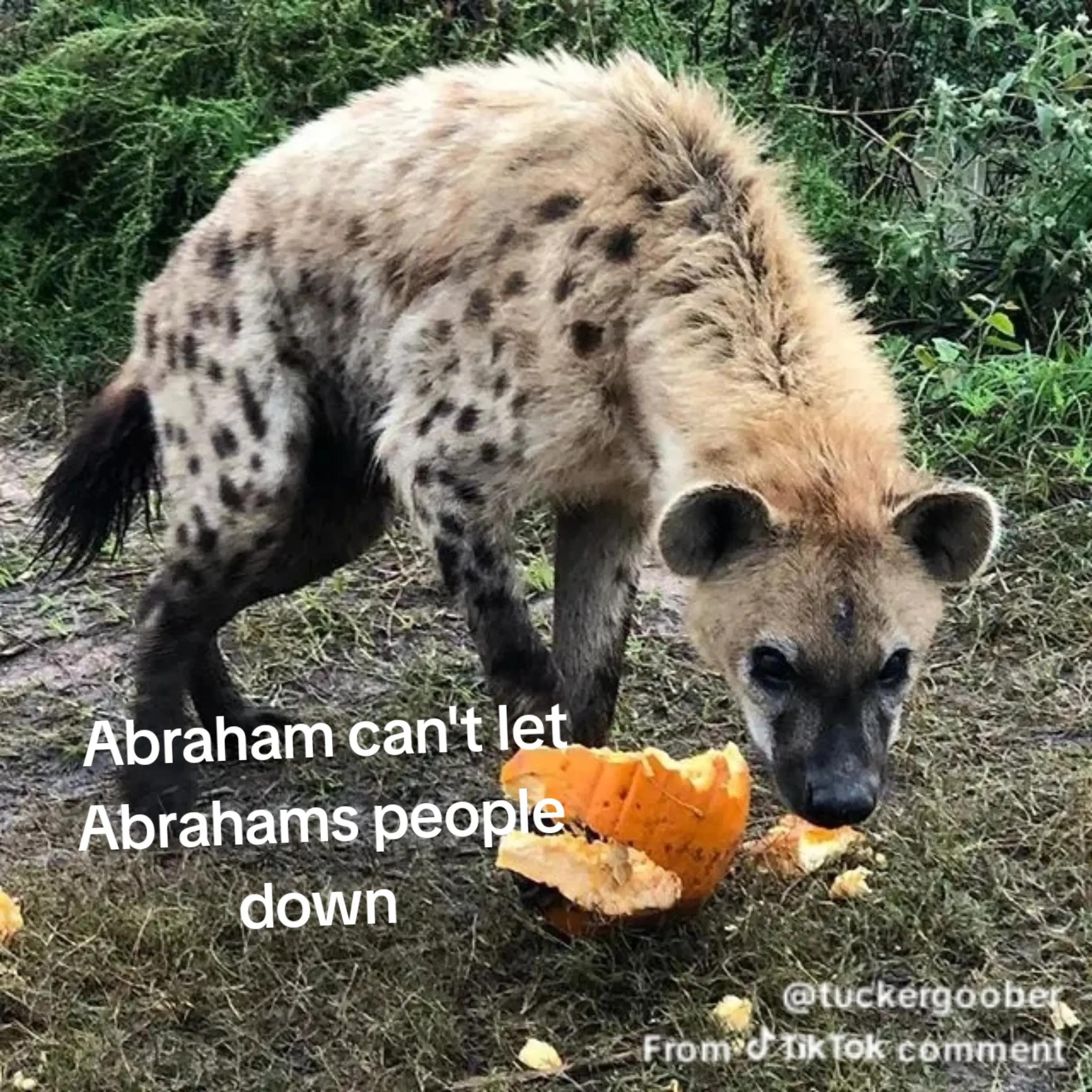 @AbrahamTheHyena