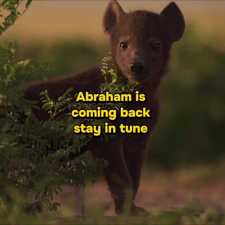 @AbrahamTheHyena✝️