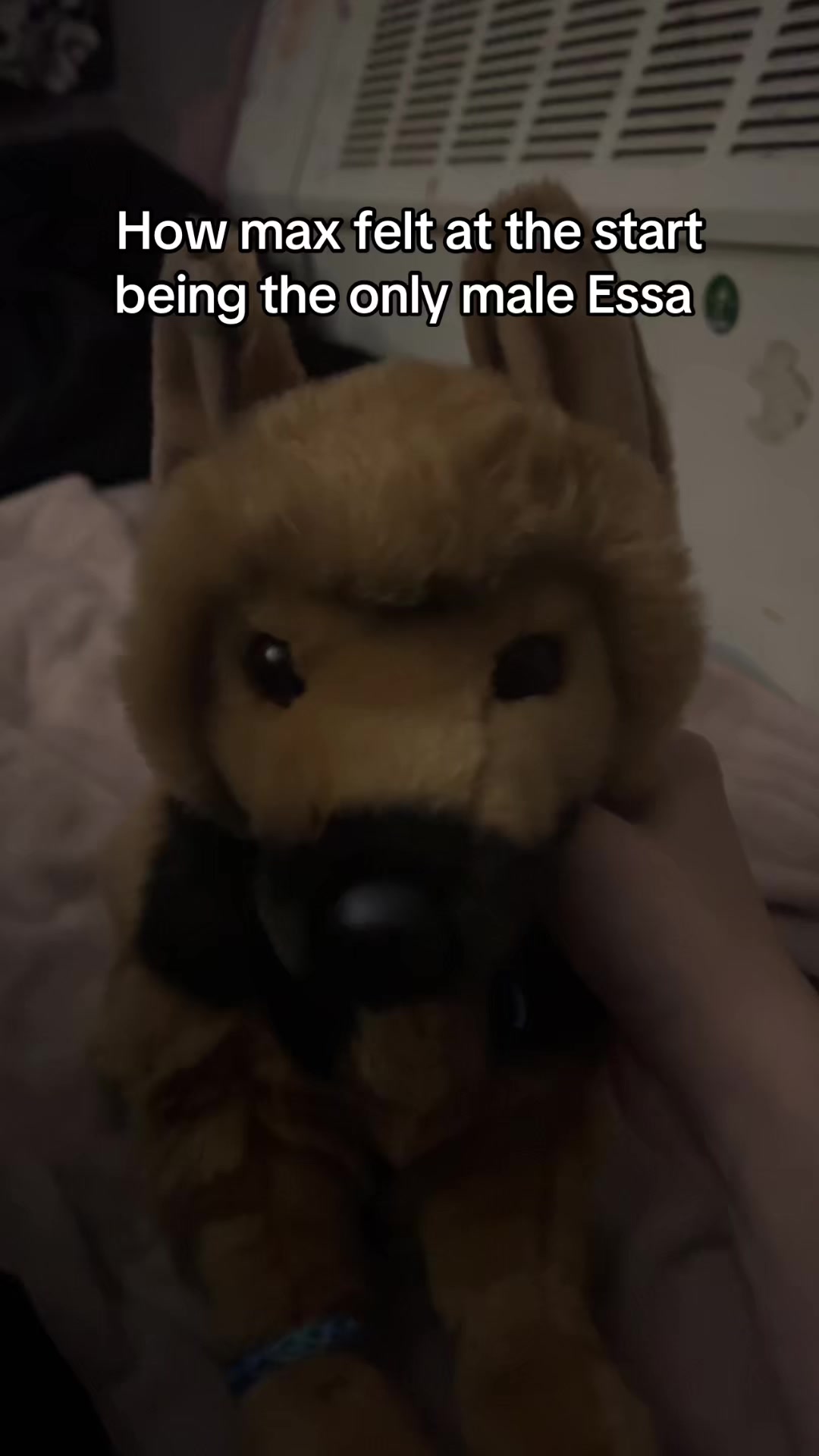 @kat
