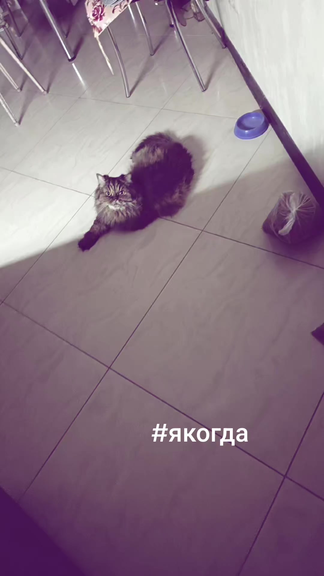@𝗴𝗮𝗱𝗼𝗽𝘆𝗮𝘁