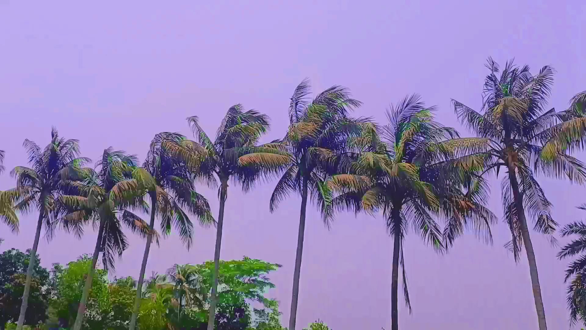 @🍃🕊️ &rdquo;প্রকৃতি প্রেমী&rdquo; 🕊️🍃