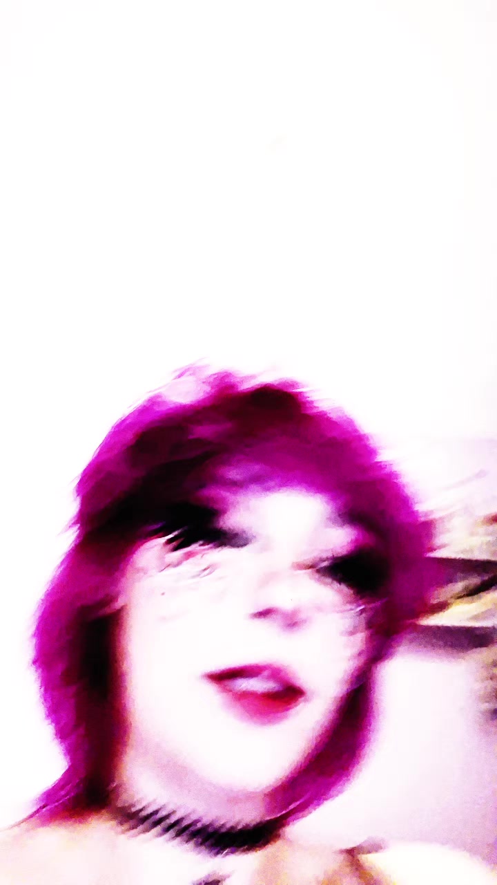 @the_last_meow