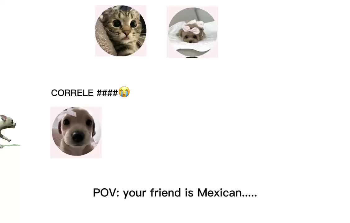 @Arianna
