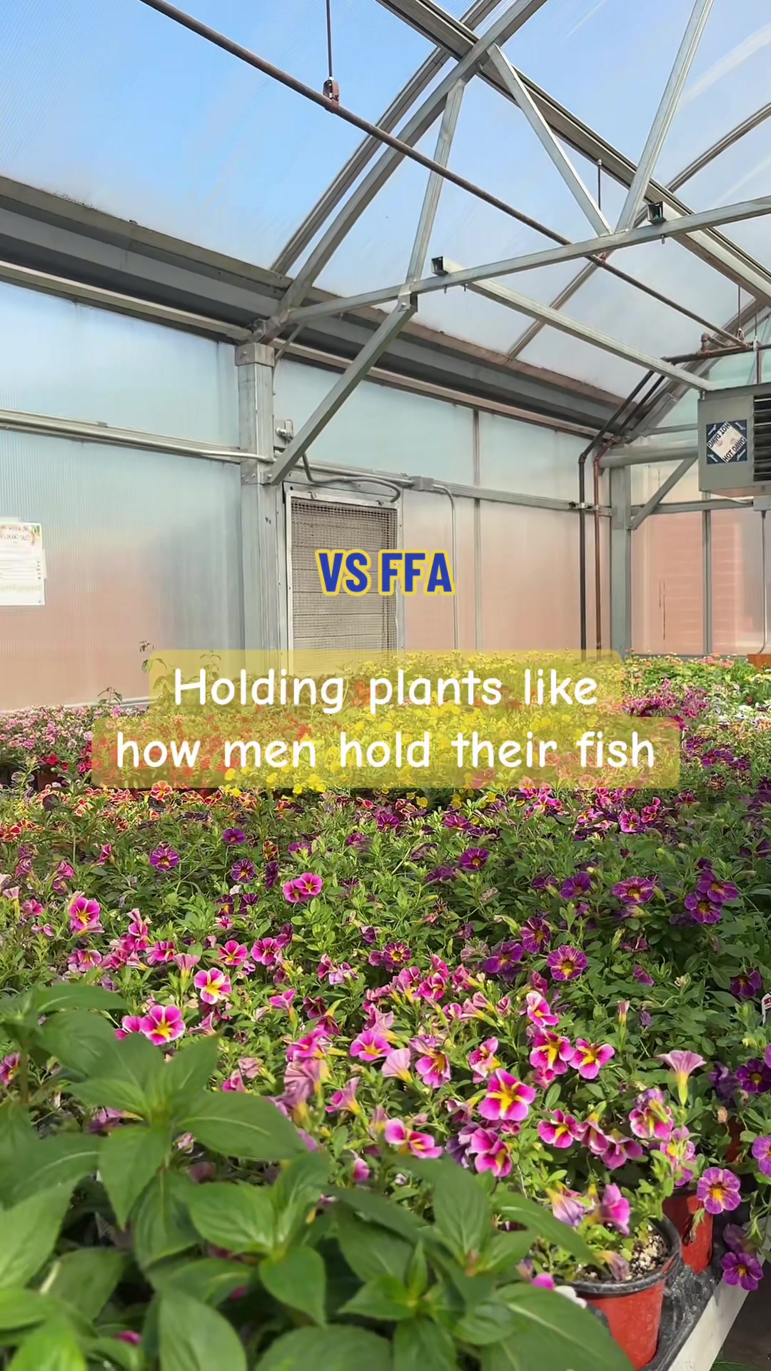 @vsffa