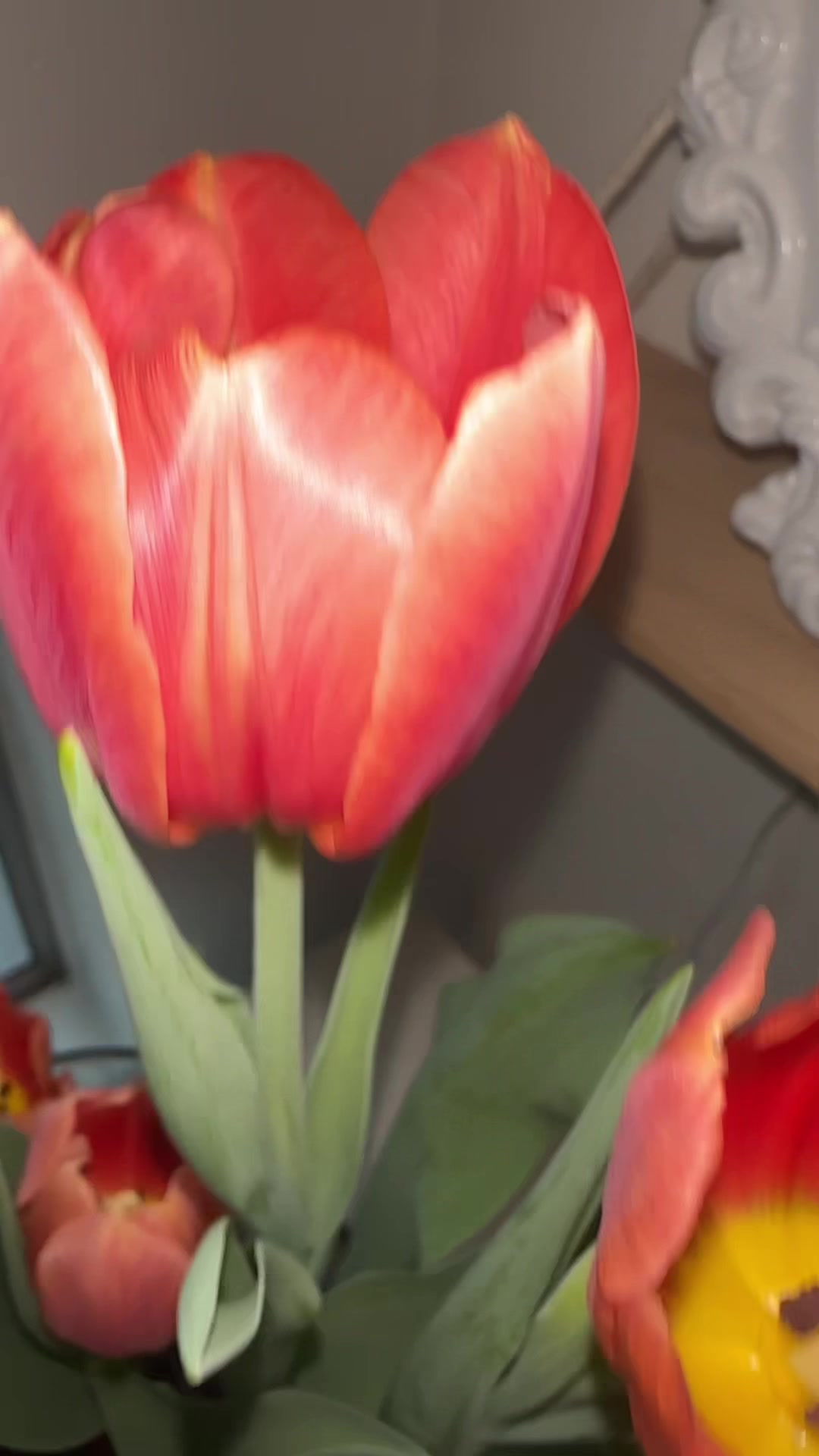 @꧁𝓨𝓾𝓷𝓲𝓮𝓽𝓱꧂
