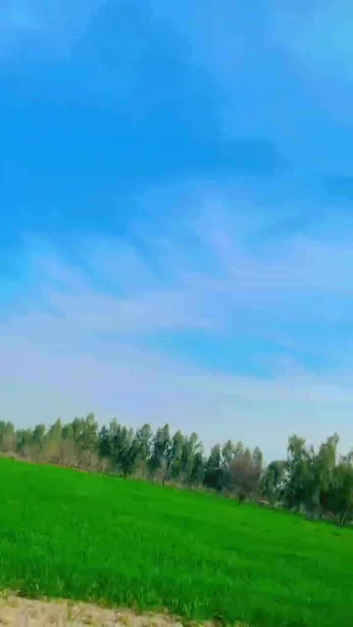 @❤️&zwj;🔥عمیر شاہ &hearts;️