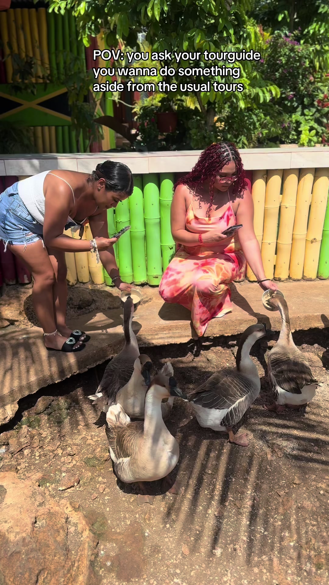 @Zadeekjamaicatours