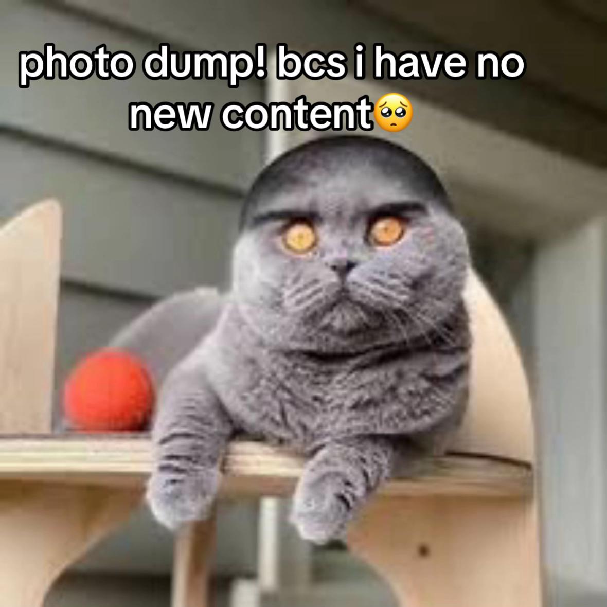 @secretchicken01