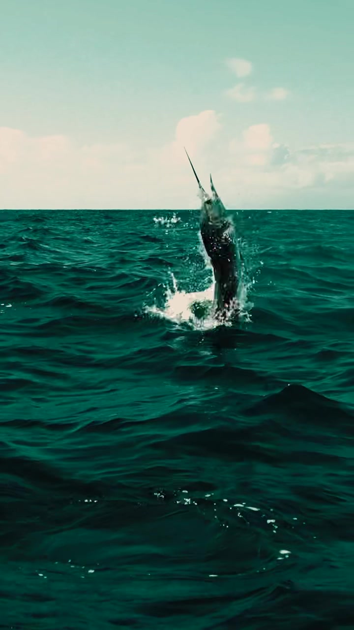 @TwoConchs