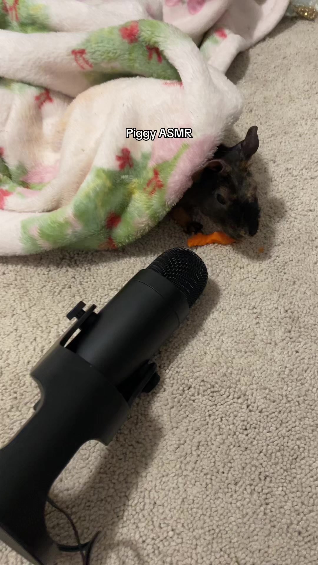 @𝗱𝗶𝘇𝘇𝘆𝘃𝗹𝘆⋆ ˚｡⋆୨୧˚