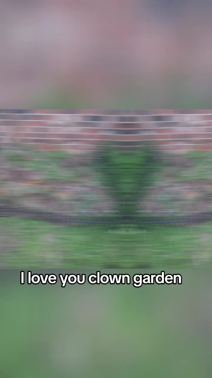 @Alex Valentine