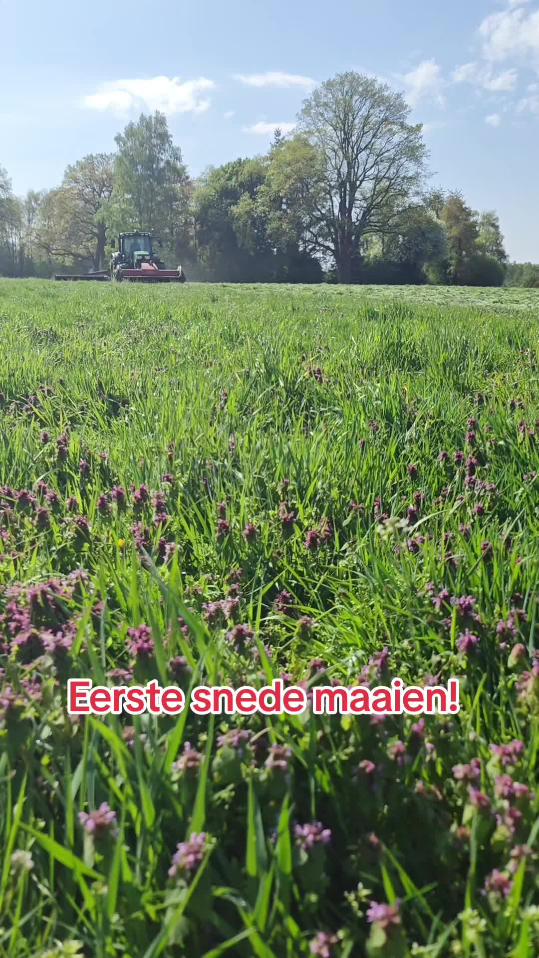 @Boerderij