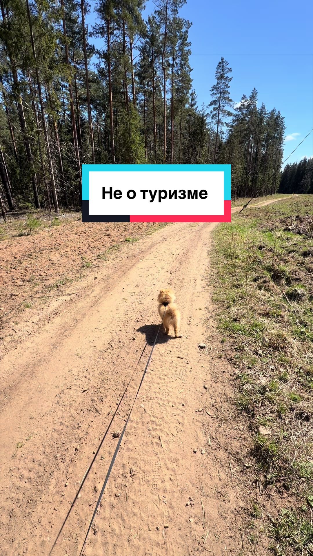 @travelpro.by