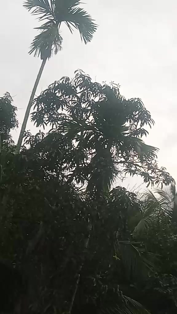 @রাকিব ❤️&zwj;🩹অন্তরা