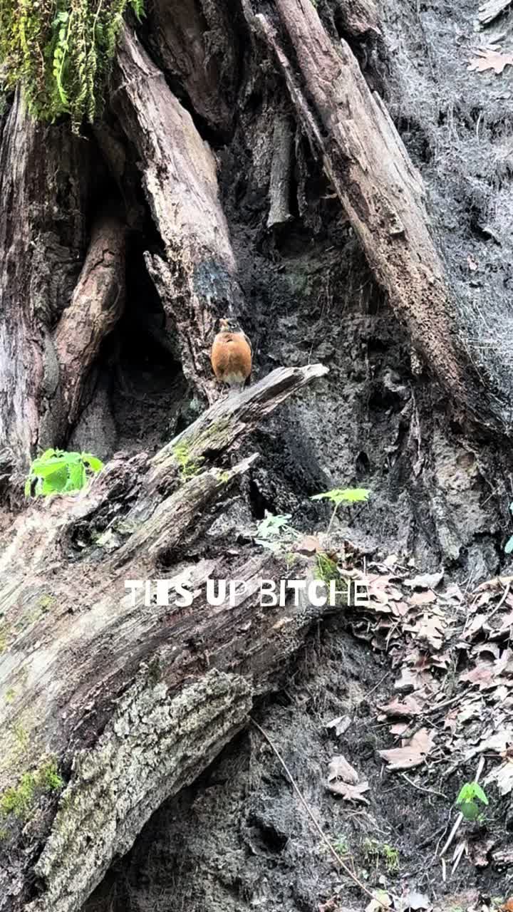 @Starved Rock State Park