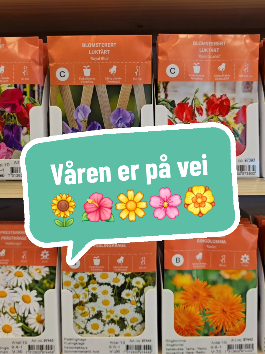 @Europris Nedenes 🤩