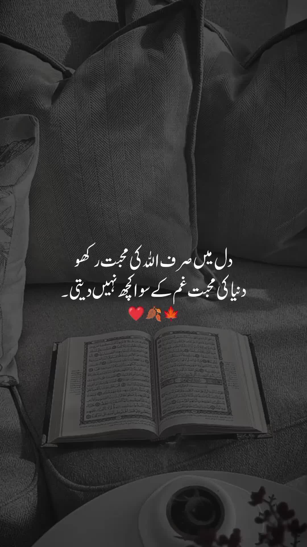 @اقصیٰ 🦋