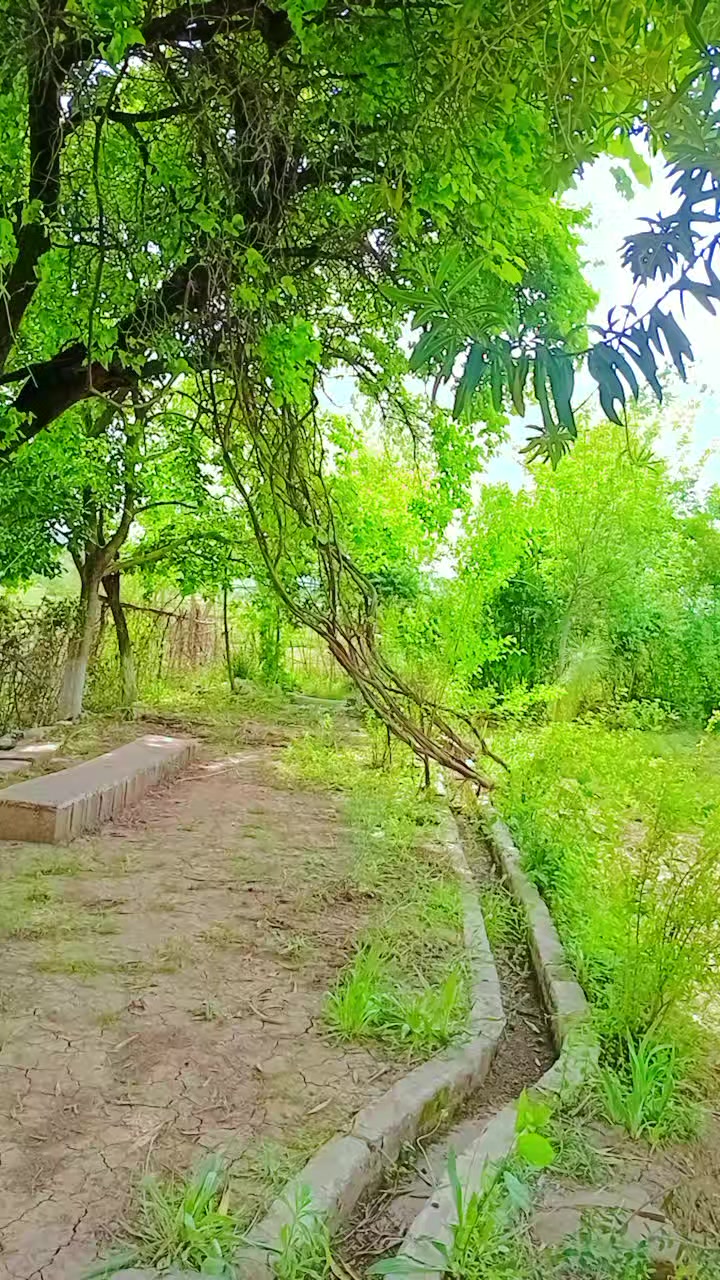 @🇦🇫꧁༺ӄɦǟաǟɢǟ ʐǟʀ༻꧂🇦🇫
