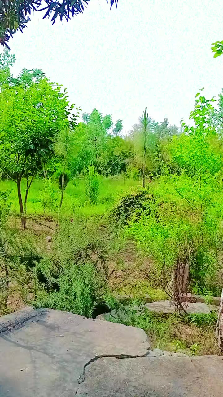 @🇦🇫꧁༺ӄɦǟաǟɢǟ ʐǟʀ༻꧂🇦🇫