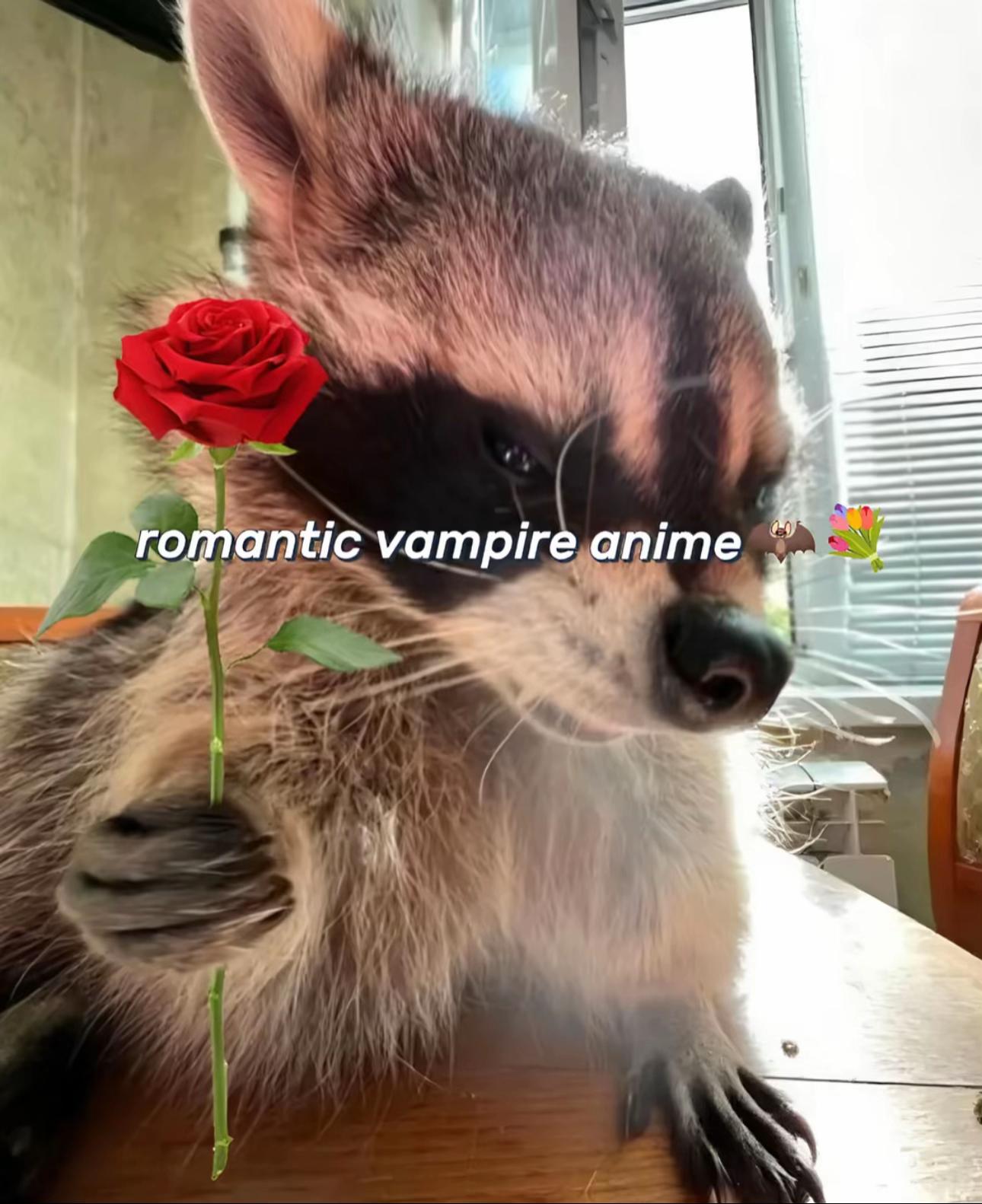 @𝔞𝔫𝔦𝔪𝔢 𝔤𝔢𝔱𝔬
