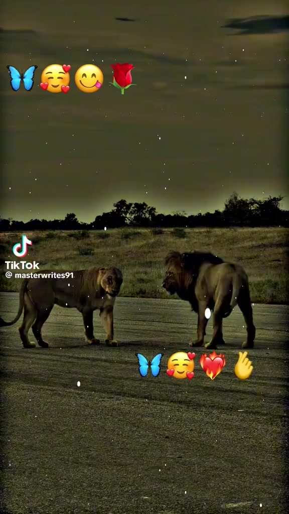 @✅shahina✅Abad✅ka✅shehzada✅