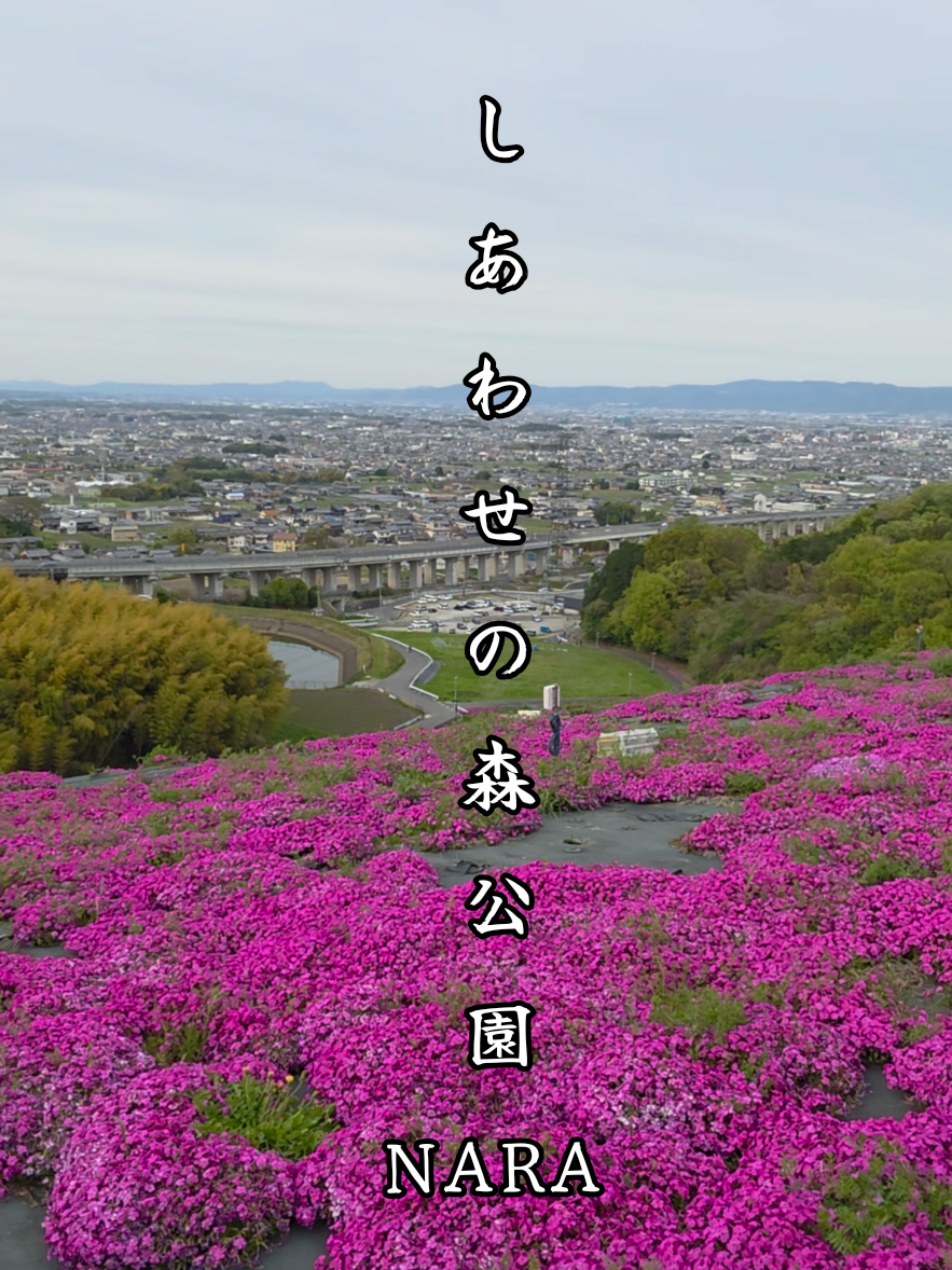 @星来⭐️セイ