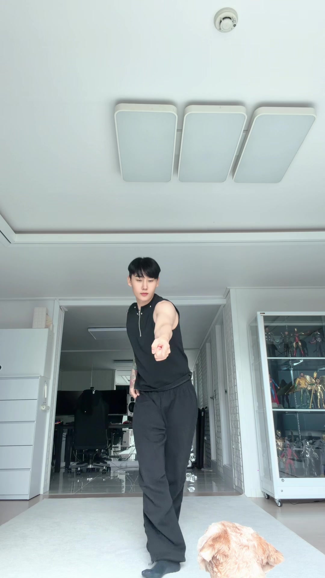 @🐶jin se jin🕺